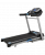  Беговая дорожка Xterra TRX2500